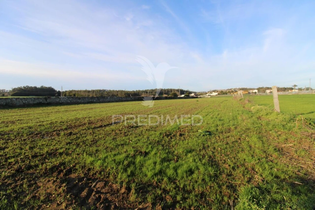 Terreno para Venda em Gião Foto 9