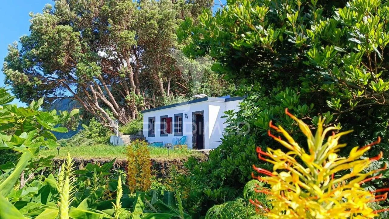 Moradia T0 para Venda em Norte Grande (Neves) Foto 3