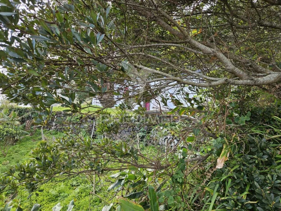 Moradia T0 para Venda em Norte Grande (Neves) Foto 16