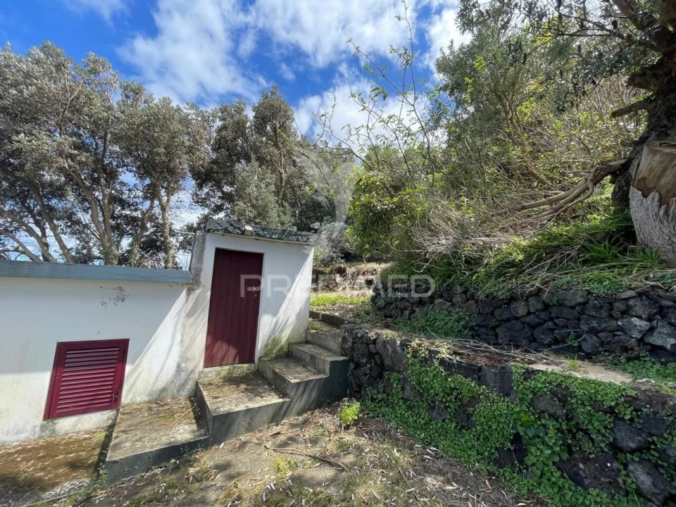 Moradia T0 para Venda em Norte Grande (Neves) Foto 34