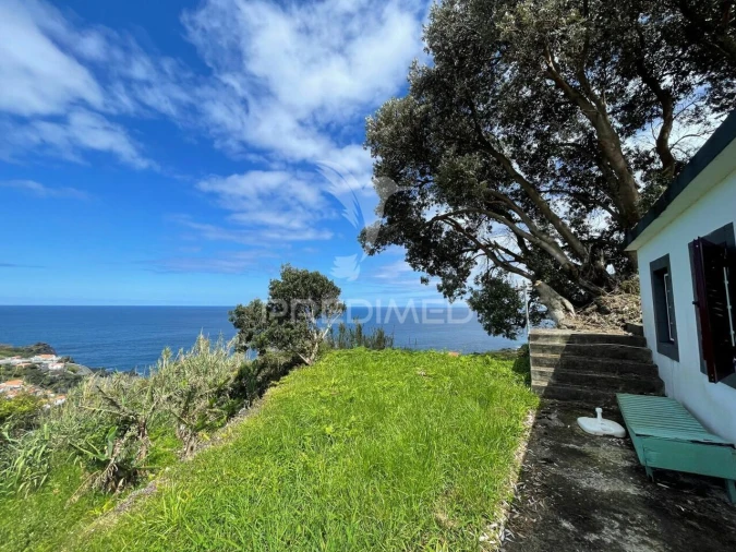 Moradia T0 para Venda em Norte Grande (Neves) Foto 31