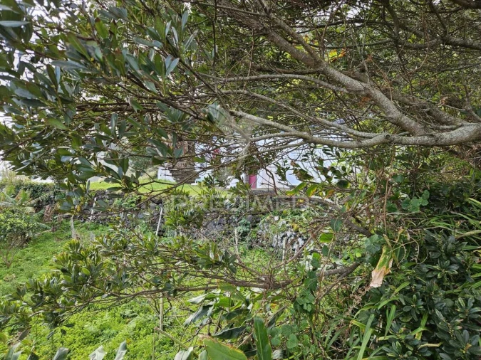 Moradia T0 para Venda em Norte Grande (Neves) Foto 16