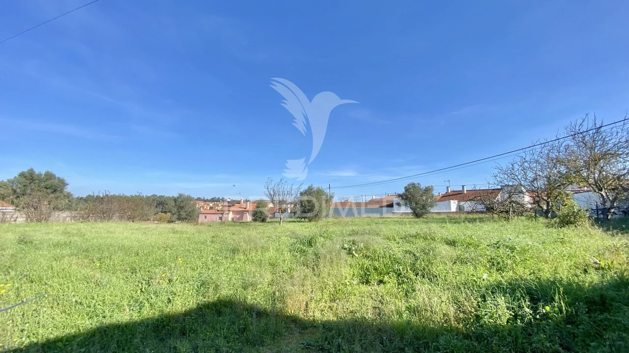 Terreno para Venda em Asseiceira Foto 1