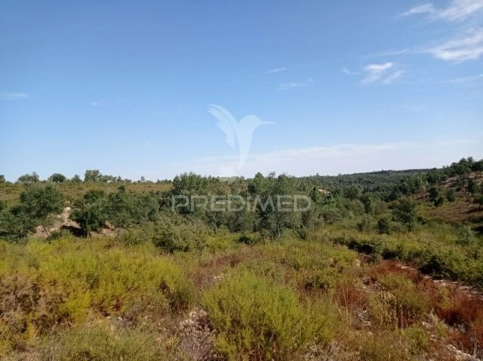 Quinta T0 para Venda em Margem Foto 11