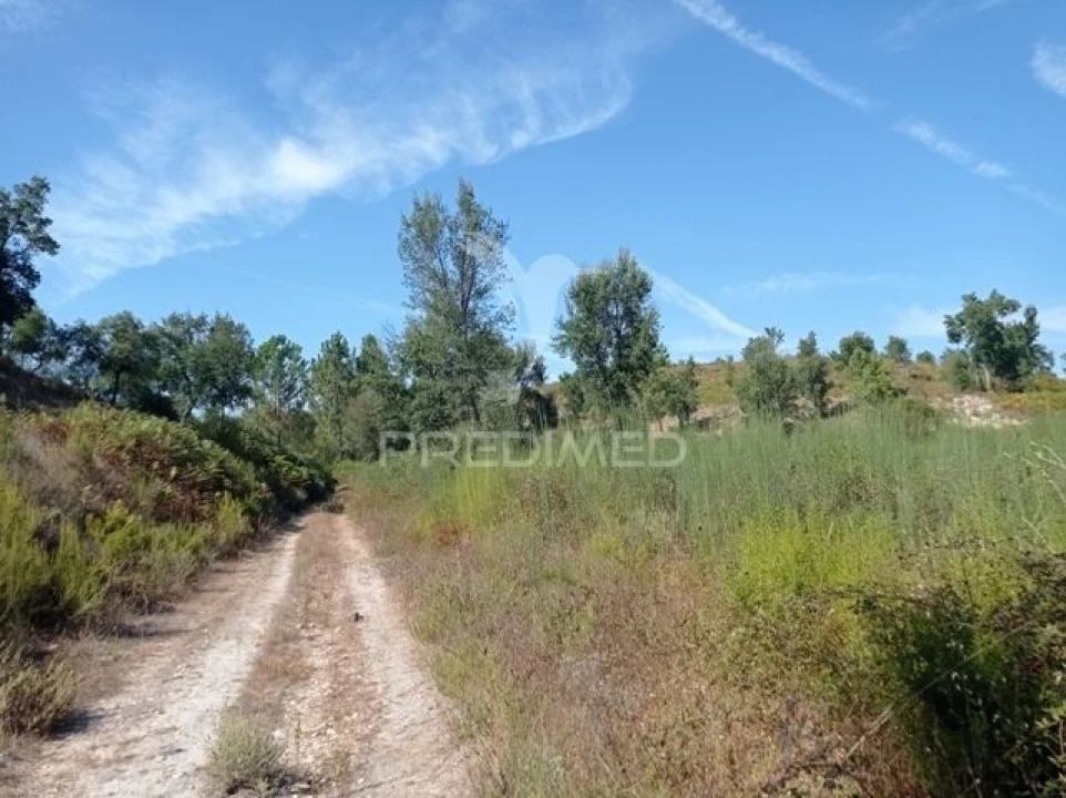 Quinta T0 para Venda em Margem Foto 14