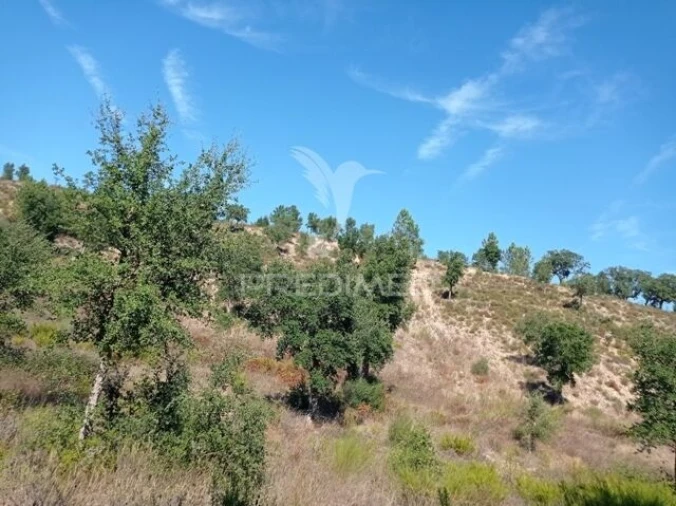 Quinta T0 para Venda em Margem Foto 16