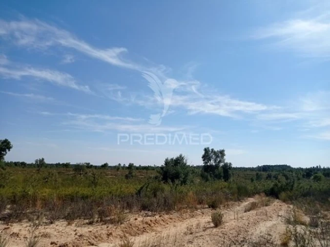 Quinta T0 para Venda em Margem Foto 2