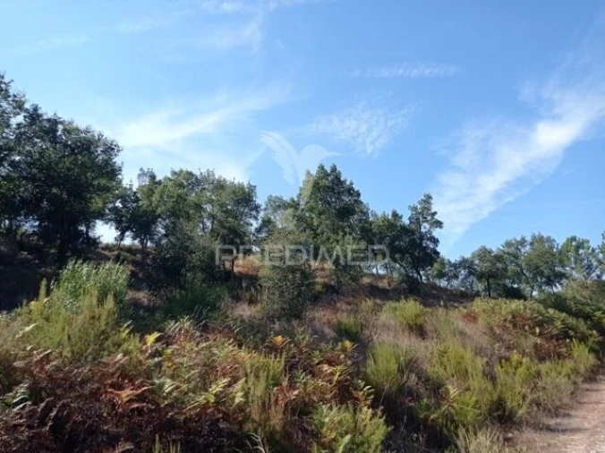 Quinta T0 para Venda em Margem Foto 5