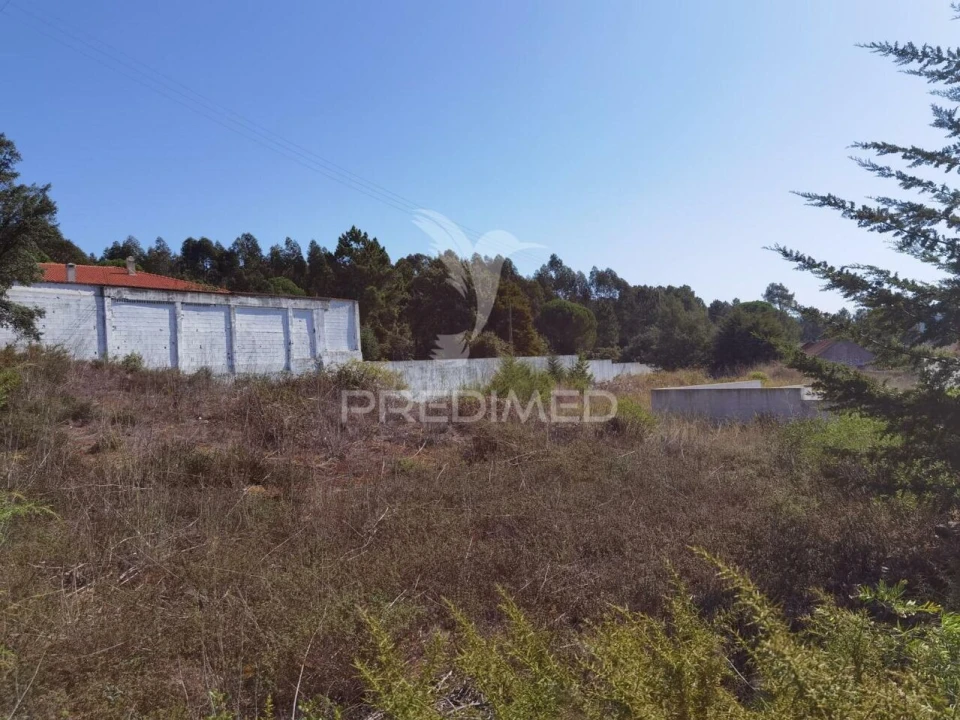 Terreno para Venda em Minde Foto 18