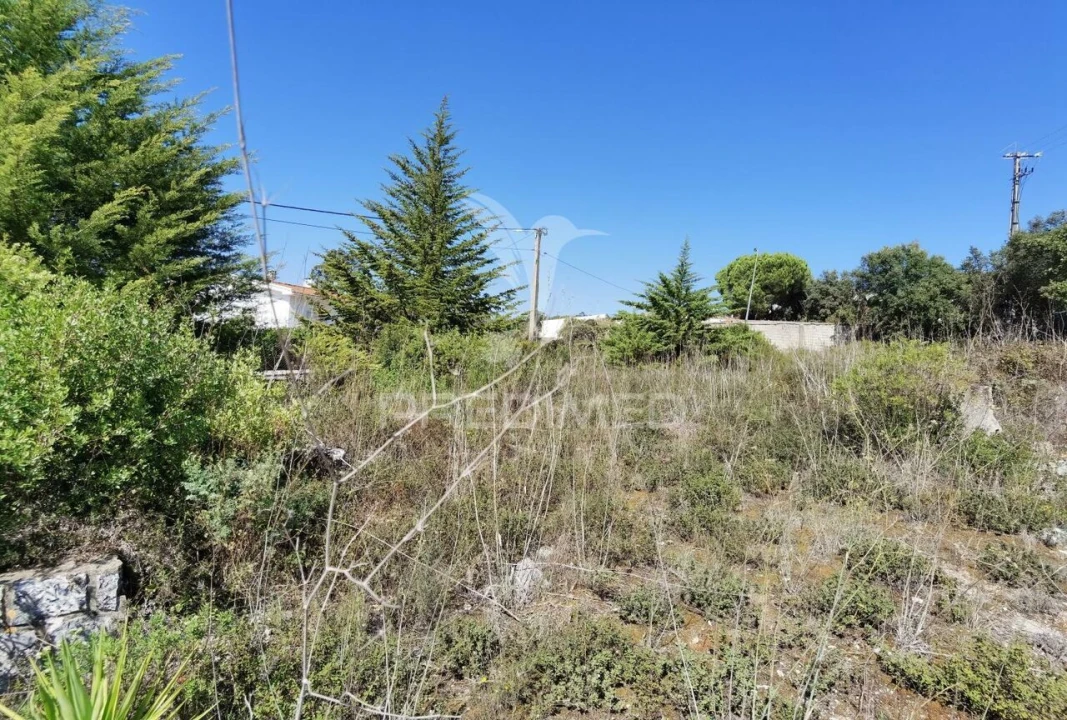 Terreno para Venda em Minde Foto 7