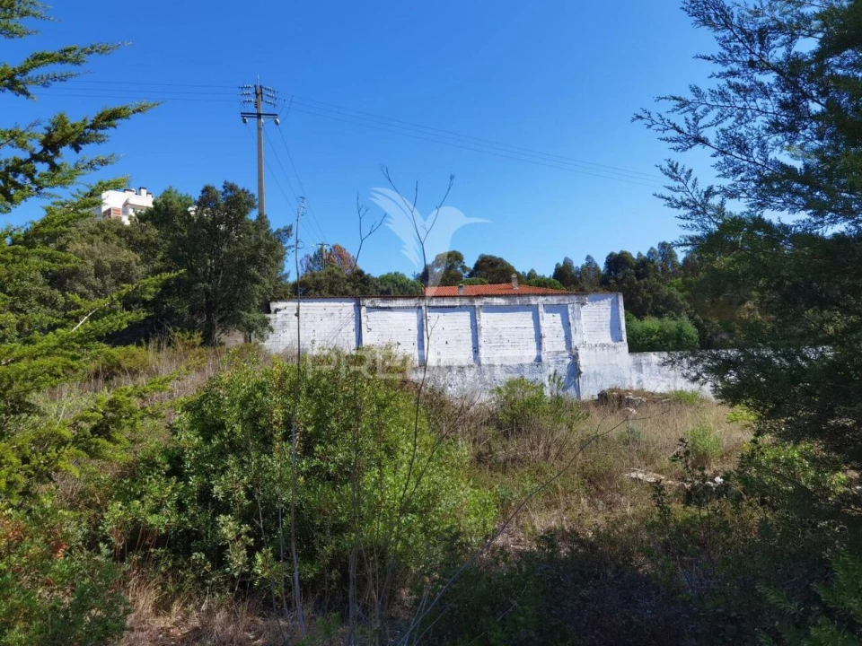 Terreno para Venda em Minde Foto 16