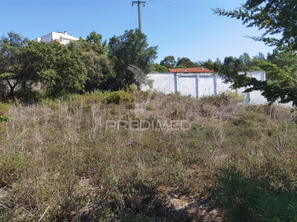 Terreno para Venda em Minde Foto 17