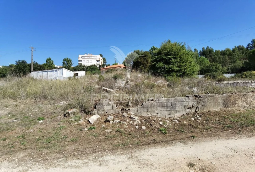 Terreno para Venda em Minde Foto 12