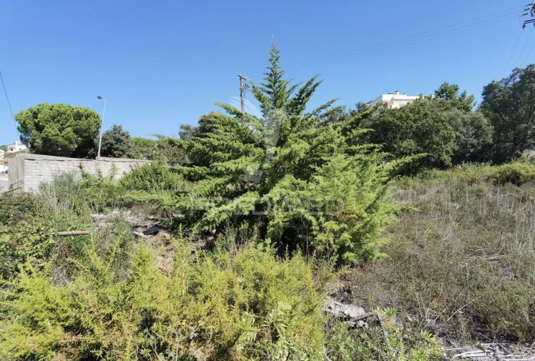 Terreno para Venda em Minde Foto 19