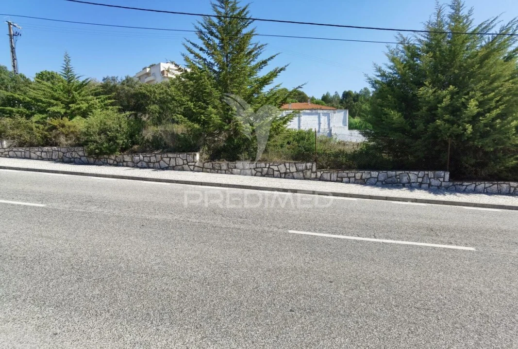 Terreno para Venda em Minde Foto 8