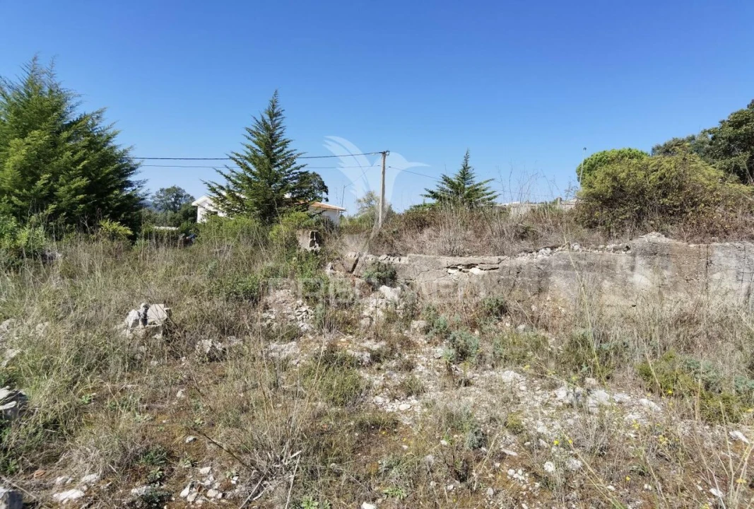 Terreno para Venda em Minde Foto 5