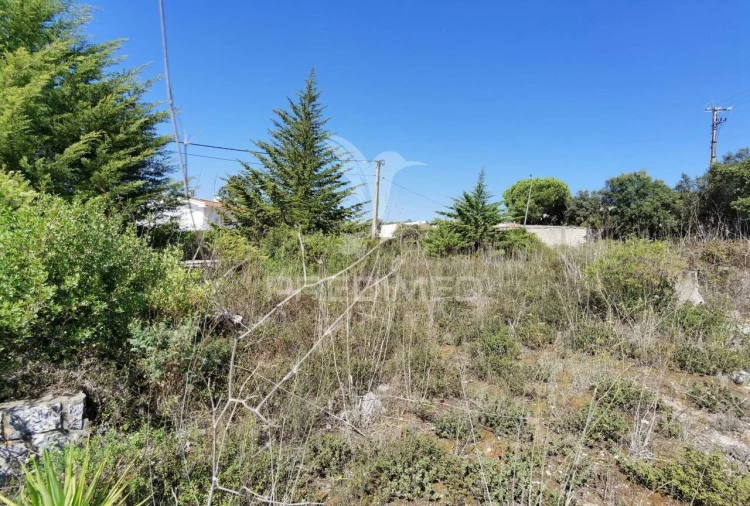 Terreno para Venda em Minde Foto 7