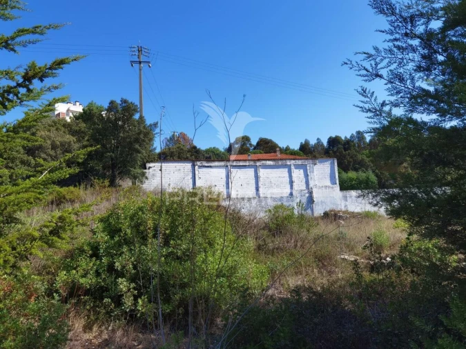 Terreno para Venda em Minde Foto 16