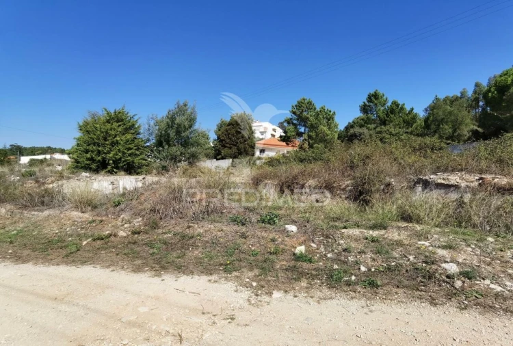 Terreno para Venda em Minde Foto 14