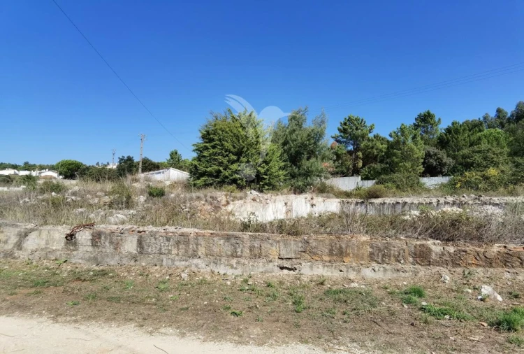 Terreno para Venda em Minde Foto 13