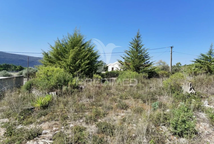 Terreno para Venda em Minde Foto 6