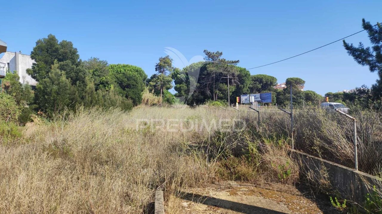 Terreno para Venda em Amora Foto 3