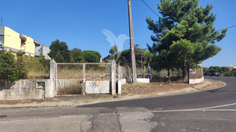 Terreno para Venda em Amora Foto 2