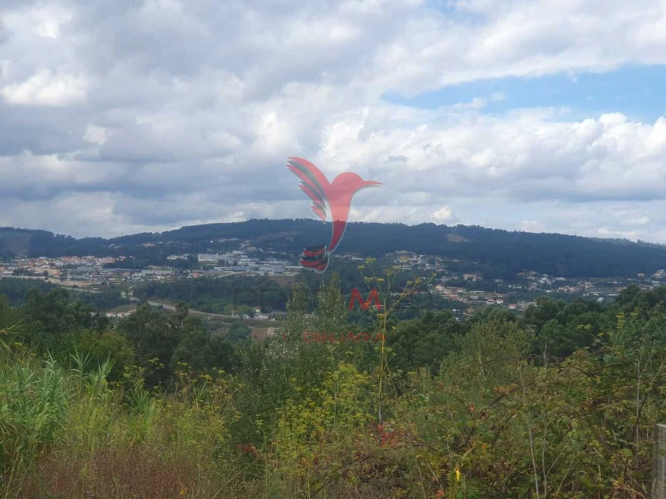 Terreno para Venda em Fafe Foto 14