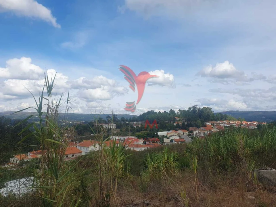 Terreno para Venda em Fafe Foto 12