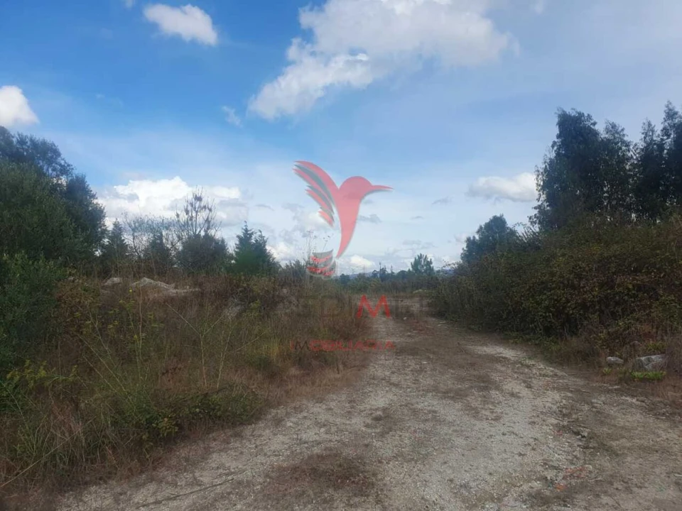 Terreno para Venda em Fafe Foto 4