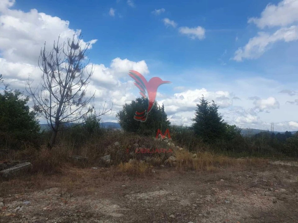 Terreno para Venda em Fafe Foto 11