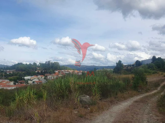 Terreno para Venda em Fafe Foto 13