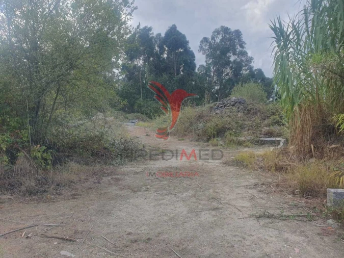 Terreno para Venda em Fafe Foto 5