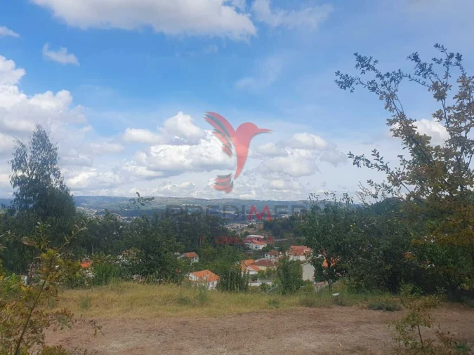 Terreno para Venda em Fafe Foto 15