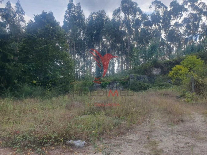 Terreno para Venda em Fafe Foto 2