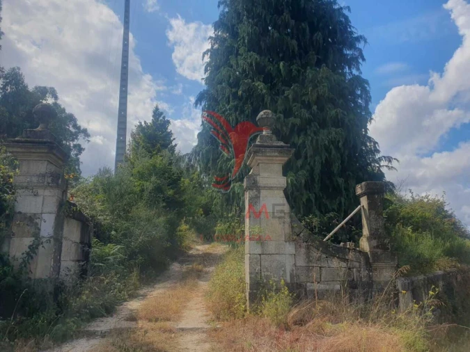 Terreno para Venda em Fafe Foto 3