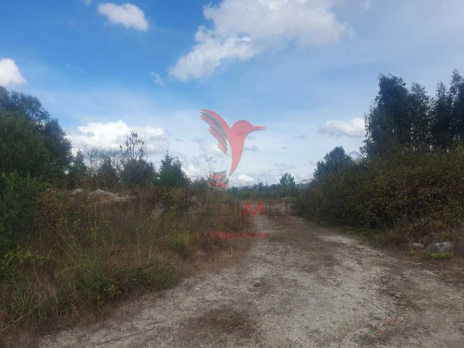 Terreno para Venda em Fafe Foto 4