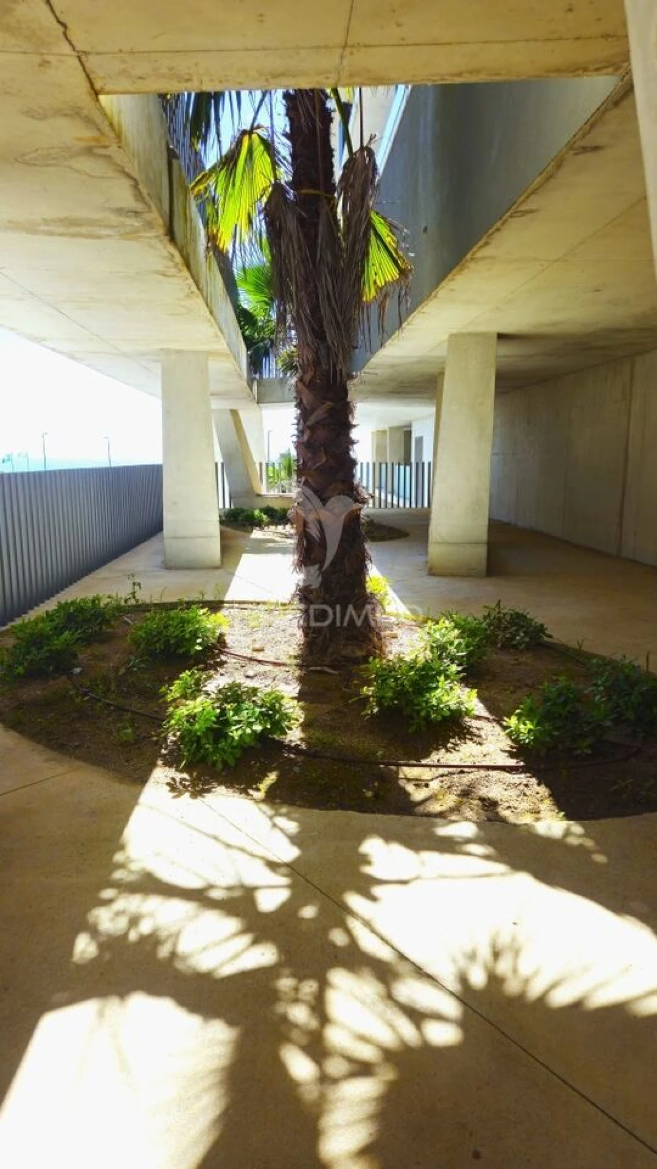 Apartamento T3 para Venda em Canidelo Foto 4