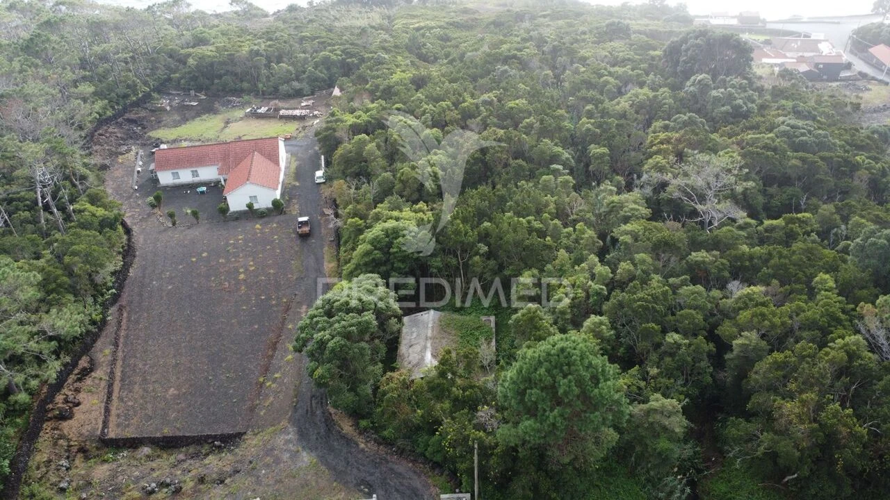 Terreno para Venda em São Caetano Foto 8