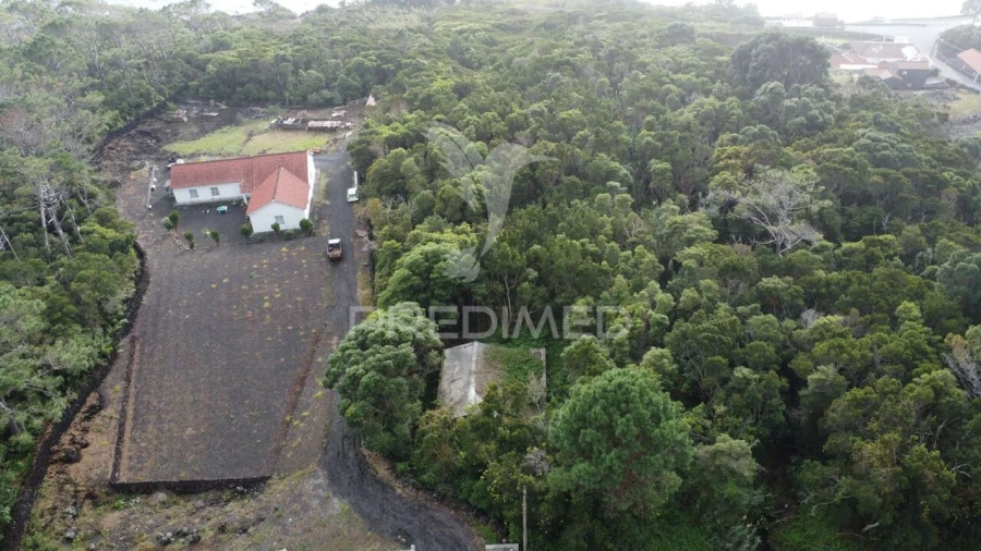 Terreno para Venda em São Caetano Foto 8