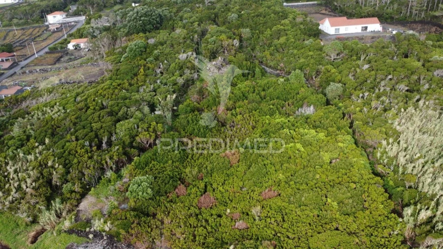Terreno para Venda em São Caetano Foto 5