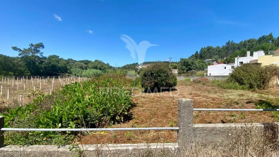 Moradia T0 para Venda em Rio Maior Foto 5