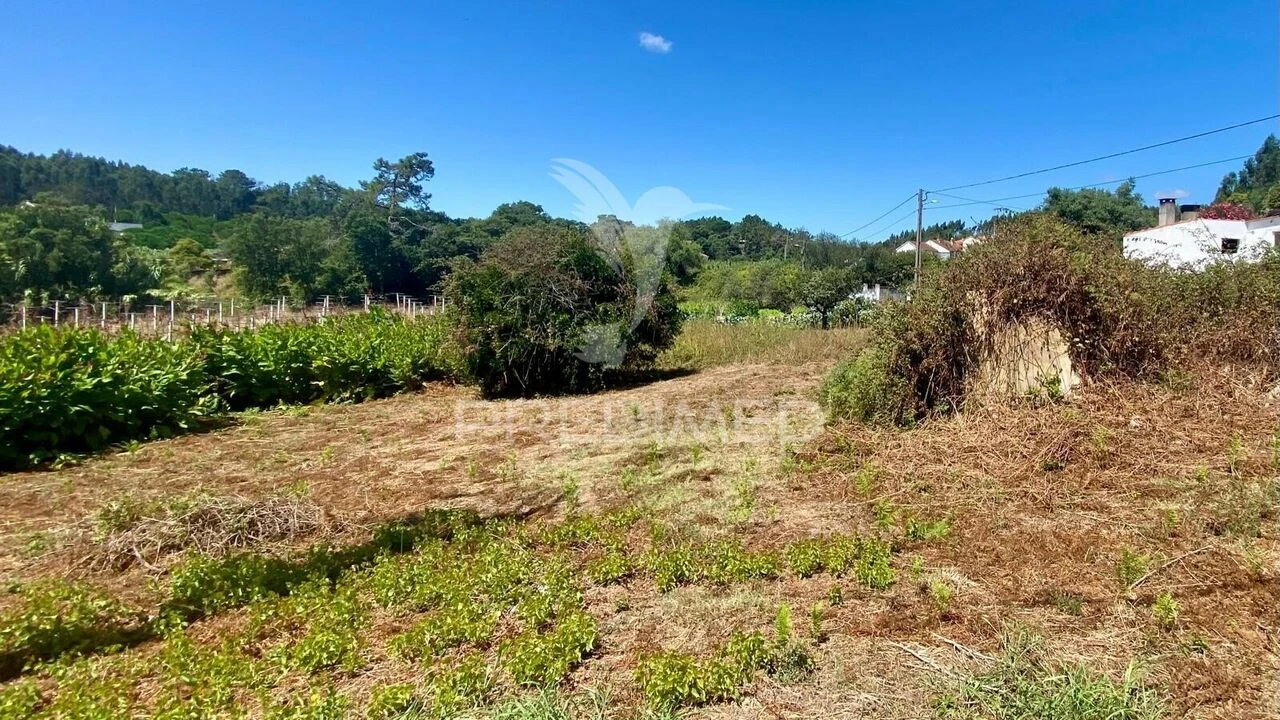 Moradia T0 para Venda em Rio Maior Foto 3