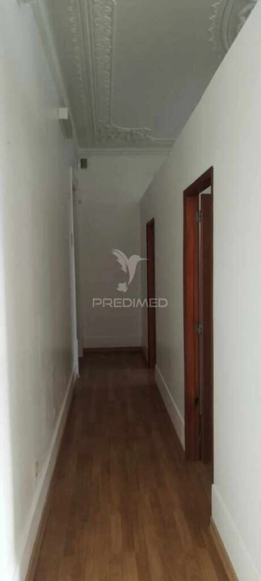 Loja para Arrendamento em São João Baptista Foto 5