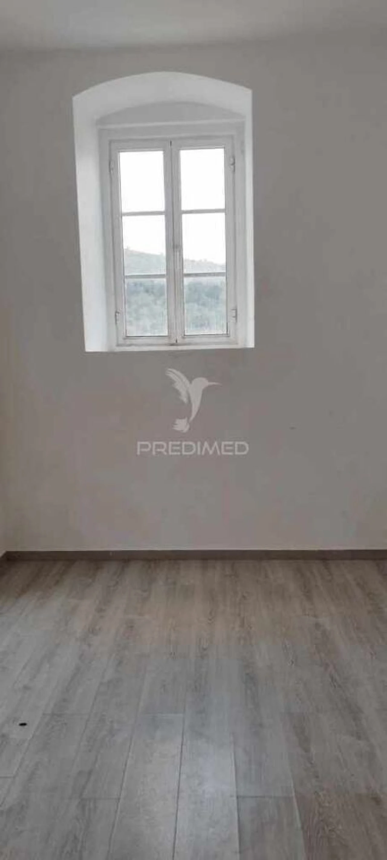 Loja para Arrendamento em São João Baptista Foto 6