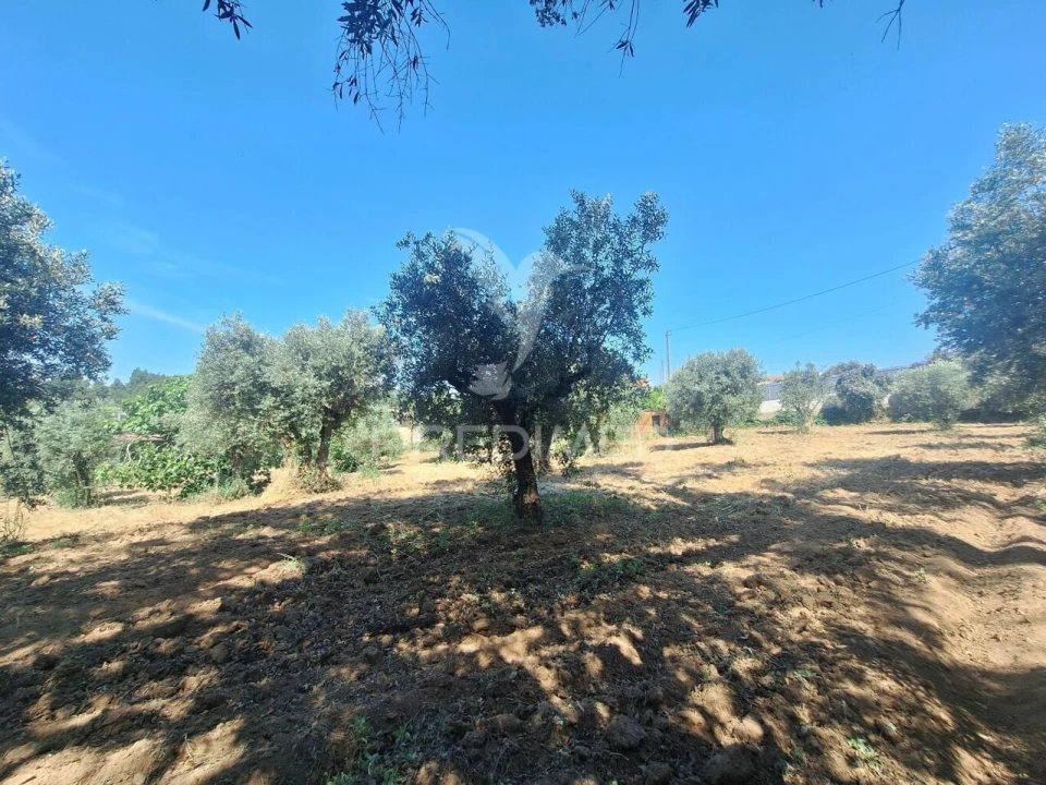 Terreno para Venda em Praia do Ribatejo Foto 4