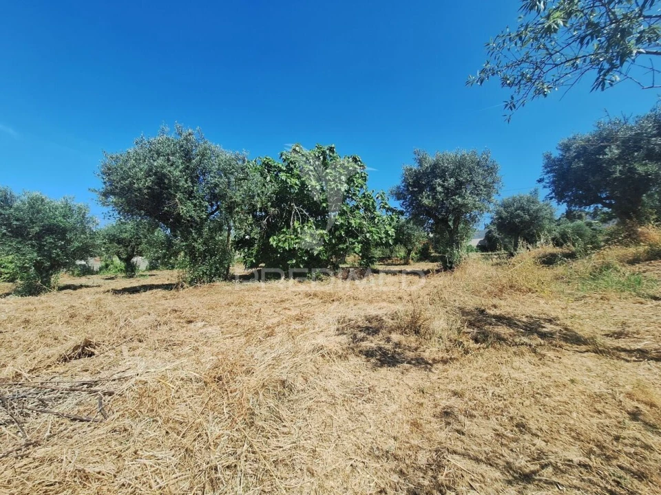 Terreno para Venda em Praia do Ribatejo Foto 15