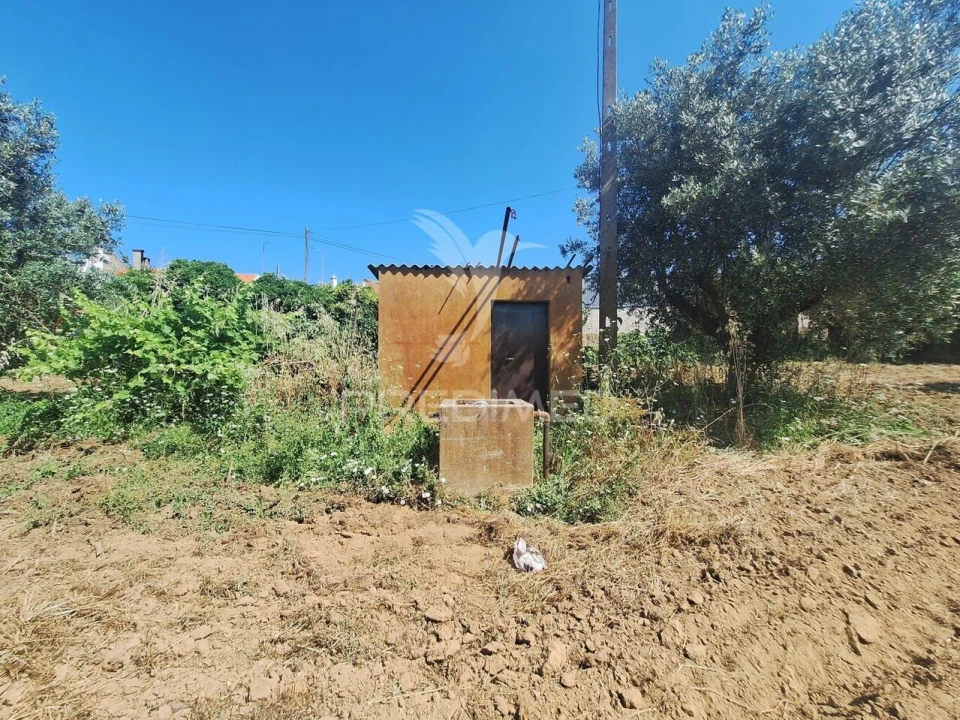Terreno para Venda em Praia do Ribatejo Foto 9