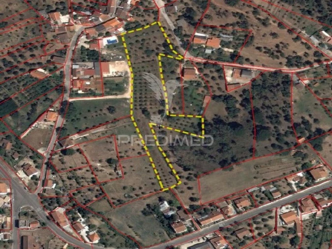 Terreno para Venda em Praia do Ribatejo