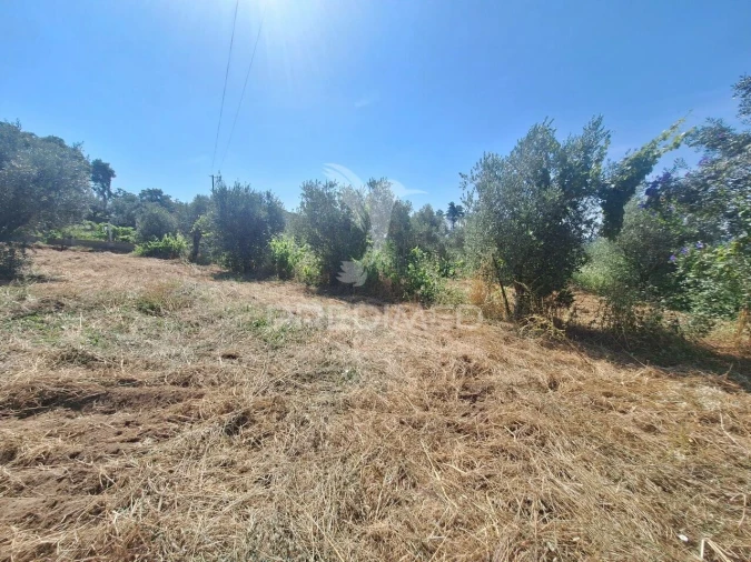 Terreno para Venda em Praia do Ribatejo Foto 13